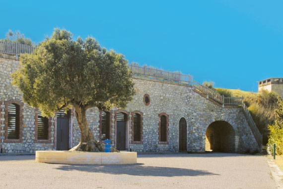 perpignan fort du serrat d'en vaquer site paleontologique panorama perpignan hotel de ville mairie palais de la députation patio maillol euro-sejours, tourisme, guide touristique, pyrénées-orientales, roussillon, perpignan, visite, vacances, sud de la france, catalogne, mer, méditerranée, montagne, voyages, loisirs, ski, promenades, hébergement, hotels, restaurants, monument, à voir, randonnee, balade, occitanie