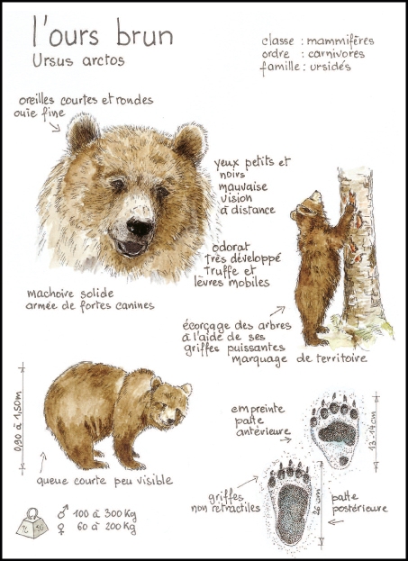 ours