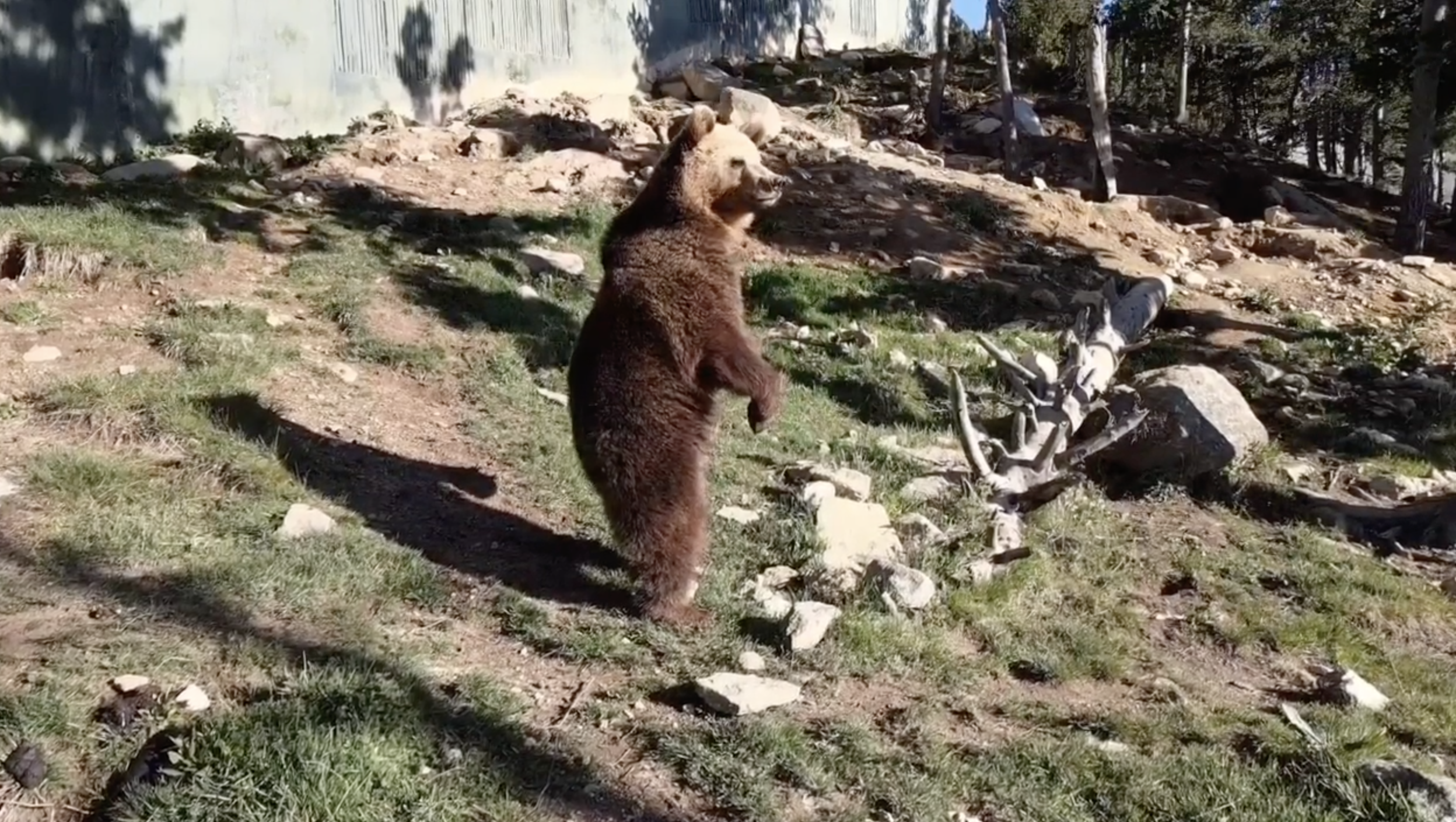 Image de la video du parc animalier des angles - euro sejours et tourisme 66