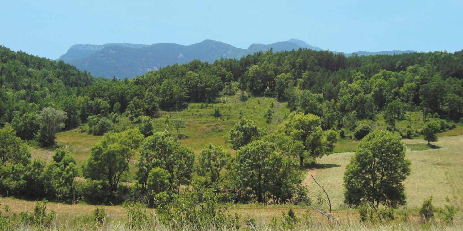 tourisme paysage arriere pays salanque